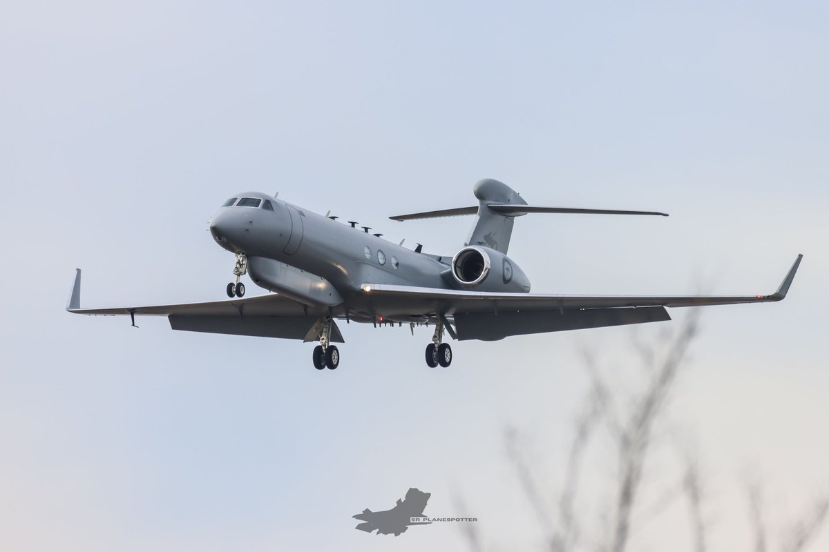 𝗦𝗥_𝗣𝗹𝗮𝗻𝗲𝘀𝗽𝗼𝘁𝘁𝗲𝗿 tweet media