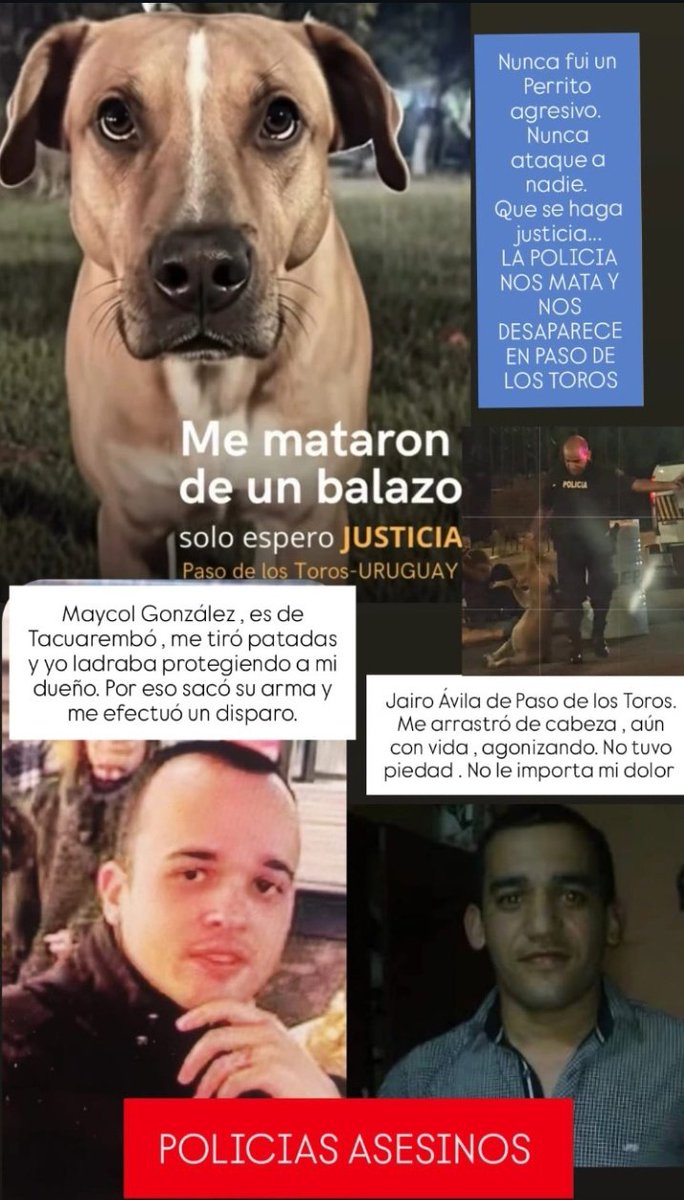 Estos son los policías asesinos que mataron al perrito en Paso de los Toros, Tacuarembó.

Que se conocan sus caras.