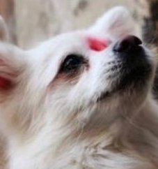 cathblock's tweet image. 幸せだと感じる 🙄