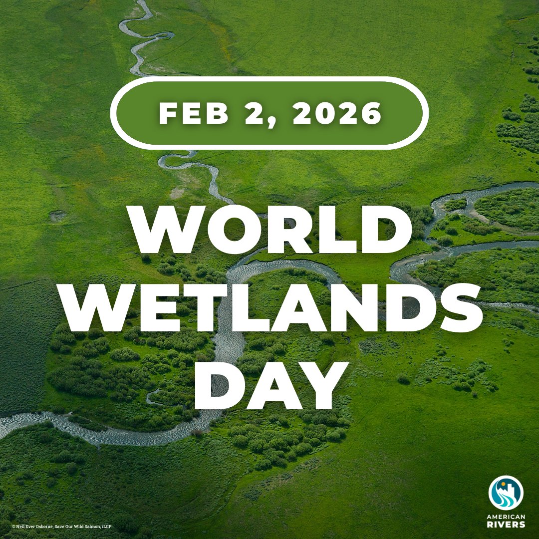 Today is #WorldWetlandsDay! 🌾 What are wetlands? Why are they so important?

Wetlands play a fundamental role in improving water quality, controlling floods, providing habitat, supporting the overall health and function of our ecosystems, and much more.

📲 Read more:
