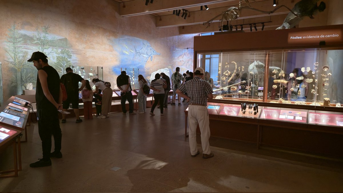 Make Stanne tweet media