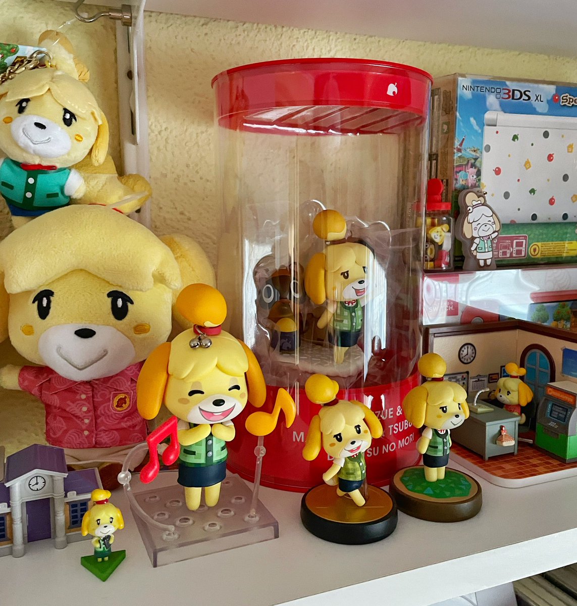 Nueva Canelita a la colección gracias a <a href="/xtralife_es/">xtralife</a> 💚🥹