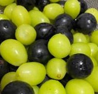 fatica87's tweet image. 筋トレを今週再開する 🌍