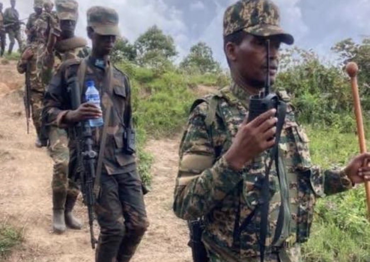 TwirwanehoMoise's tweet image. #RDC: Les soldats de Twirwaneho sont peu nombreux et de petite taille, mais ils ont un cœur plus grand que toutes les troupes burundaises, tanzaniennes, les FARDC, les MaiMai et les FDLR réunies.

#StopGenocide against #Banyamulenge