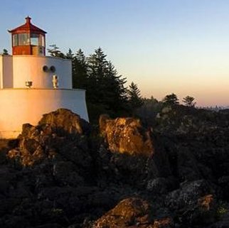 TheTeughyz's tweet image. 体で出る 🥟