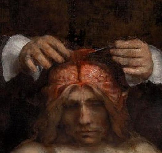 BOLbTiK's tweet image. 犬は難しいです 👀