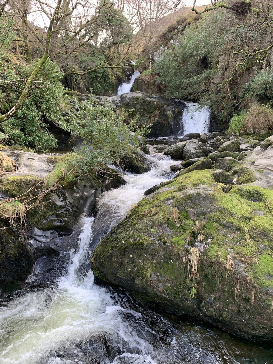 Gus Erlandson tweet media