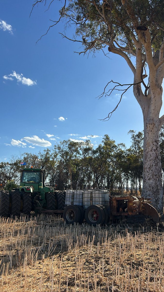 tobemcgill02's tweet image. Tree line ripping in progress. 1m deep in light country and 500-700 mm in harder stuff. Some stuff impenetrable. Before and after photos available after Harvest 2026. The last photo is the aftermath of the Video. A 30 kg root (55 ibs for you yanks and canucks). #satisfying