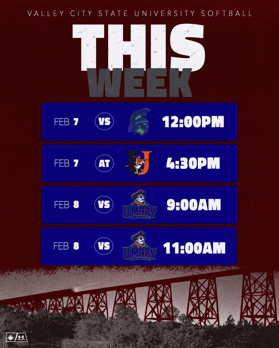 VCSU Softball tweet media