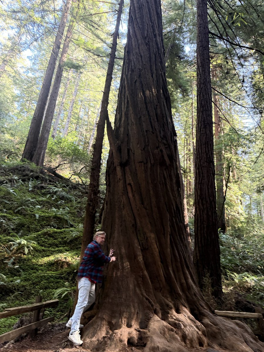 Brandon Walker tweet media