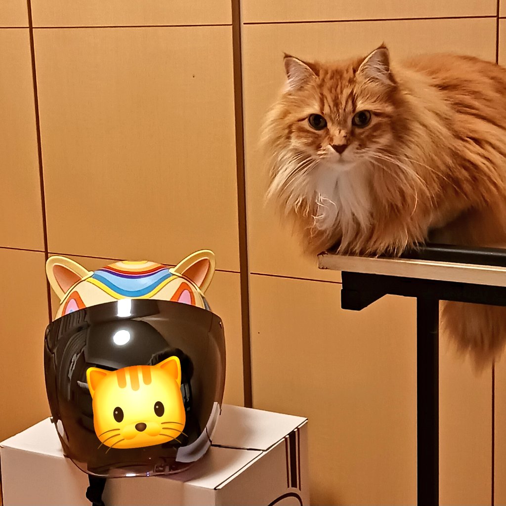 ななも (@nanamo72) / Posts / X