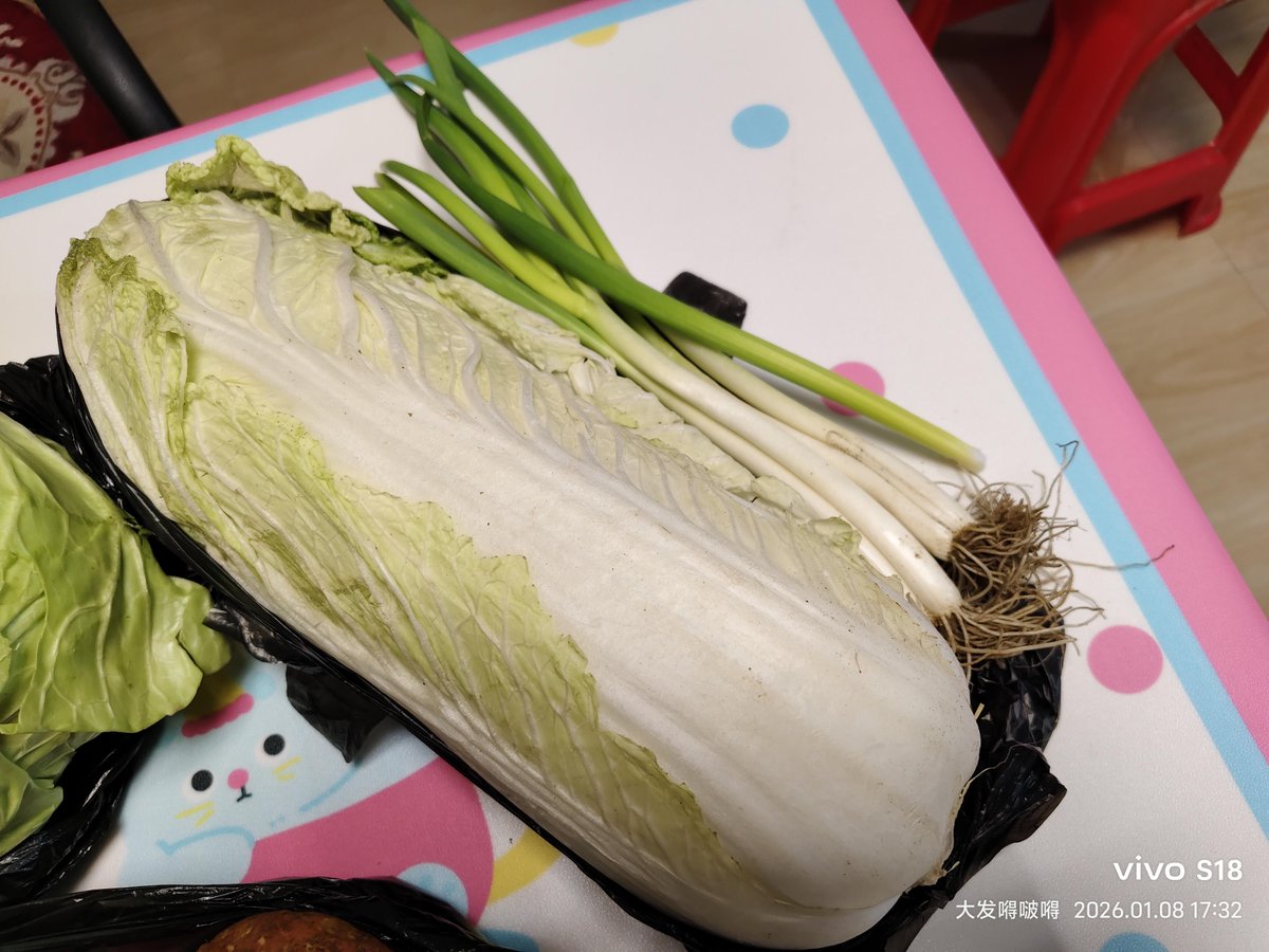 🇰🇵 A Chinese citizen living in Pyongyang went grocery shopping and spent 36 RMB.

5 RMB for 5 small pieces of fish
2 RMB for 8 sweet potatoes🍠
5 RMB for a big napa cabbage + a few green onions
4 RMB for one cabbage🥬
20 RMB for a box of eggs🥚