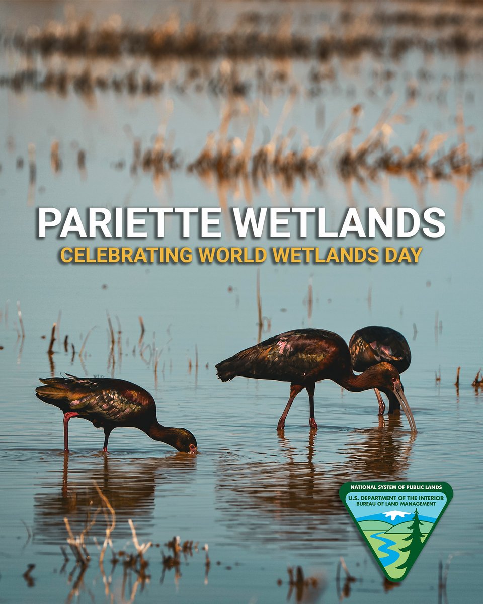 BLM Utah tweet media