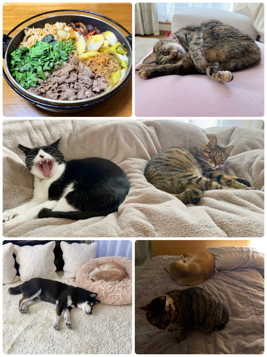 かぼすママ tweet media