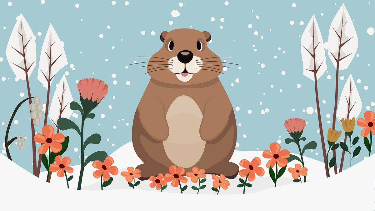 Happy Groundhog Day! It's six more weeks of winter, according to Phil. Good thing the library has study space, hot spots, wifi, printing, and plenty of books and reasons to step outside.
