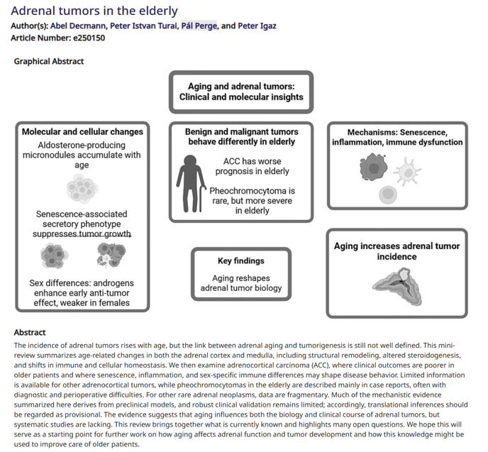PheoPara's tweet photo. #pheo #para #PPGL might be rare, but it's there! Thanks to the #PHearless investigators who continue to learn more about this complex disease & to @EndoCancer for sharing the findings! 👏🔬
@TheAACE @TheAAES @TheEndoSociety @Soc_Endo @Endocrine_CNIO @ESEndocrinology @ASCO https://t.co/TFr51bZT5M