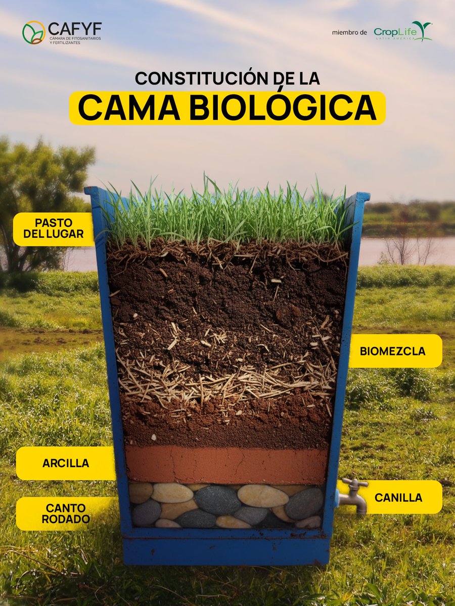 CAFYFpy's tweet photo. La cama biológica está constituidapor: 

✅ Canto rodado. 
✅ Canilla. 
✅ Arcilla. 
✅ Biomezcla.
✅ Pasto del lugar. 

📲 Si queres conocer más contactá al equipo técnico de Cafyf a través de nuestros medios oficiales. https://t.co/ph9cxzRy2a