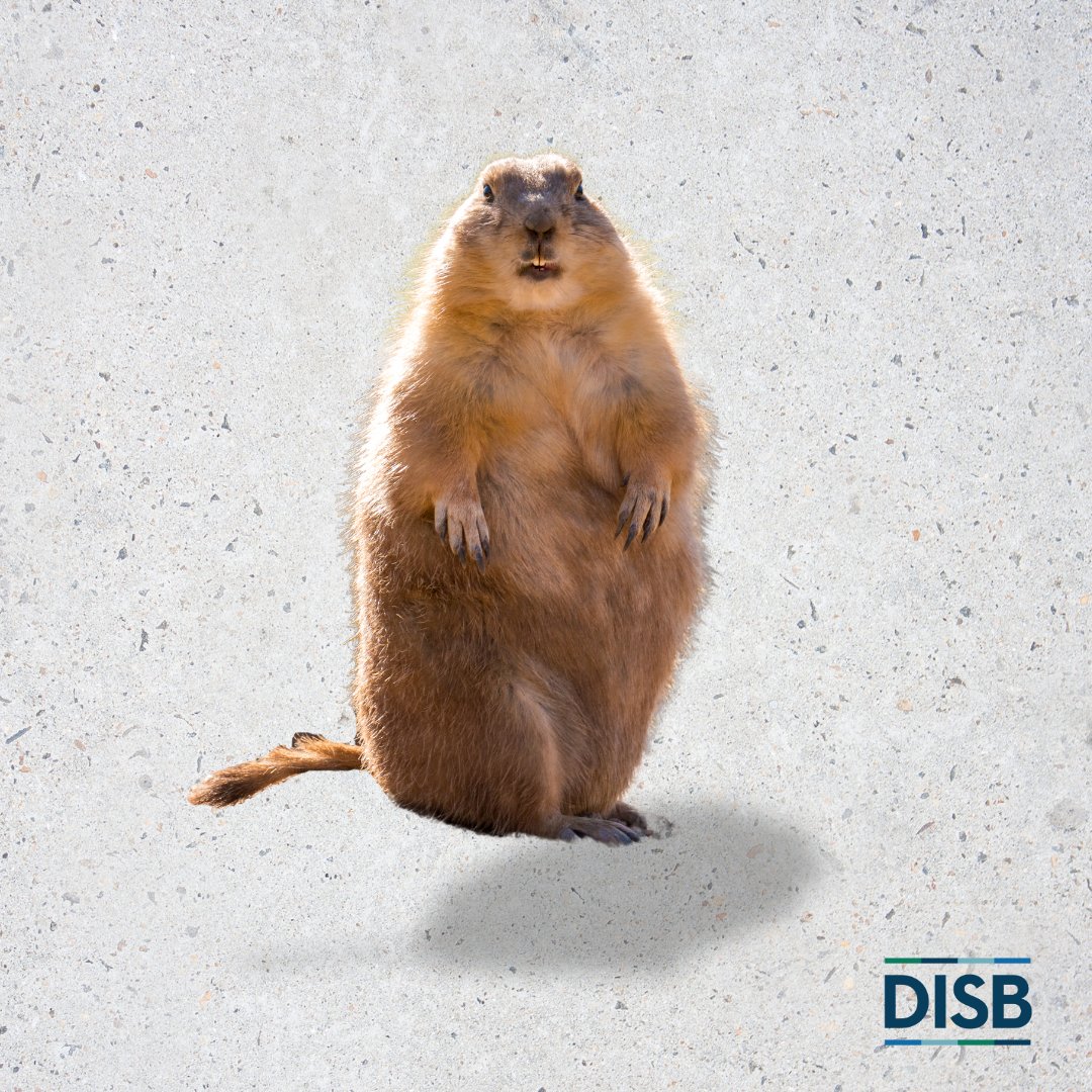 DCDISB's tweet image. 🌤️ Brrr, it looks like Punxsutawney Phil has predicted six more weeks of winter!  

The colder months are a perfect time to plan for a brighter financial future!  

Learn how DISB can help at DISB.dc.gov. #GroundhogDay