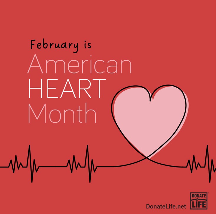 February is American Heart Month! More than 3,900 people in the U.S. are waiting for a donor heart. Register your decision to be an organ, eye and tissue donor, and learn more about heart donation and transplantation at DonateLife.net. ❤️ #DonateLife #HeartMonth