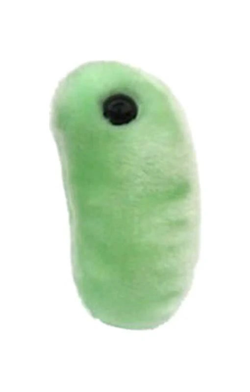 fountainfishy's tweet photo. @coolfunnnn the larval state... https://t.co/CJ7D6LwSnE