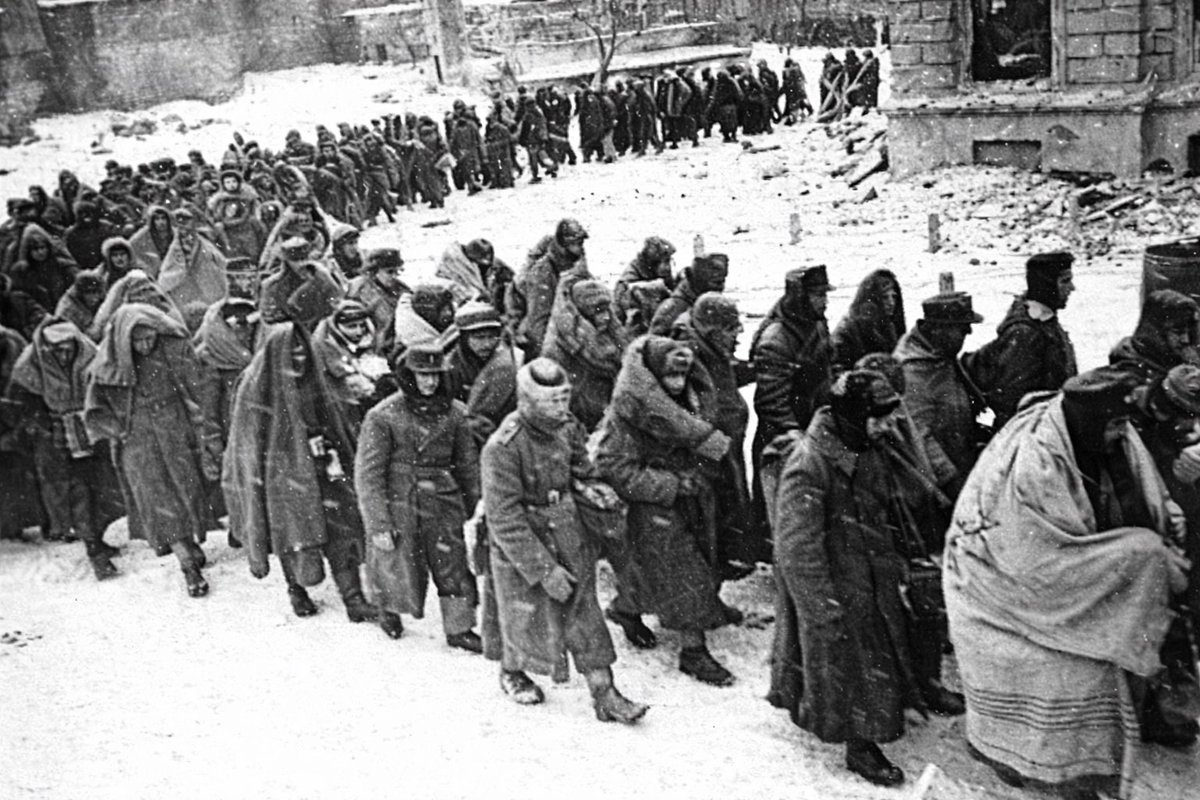 StalingradDailyDiary tweet media