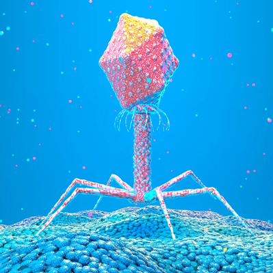 PNASNews tweet media