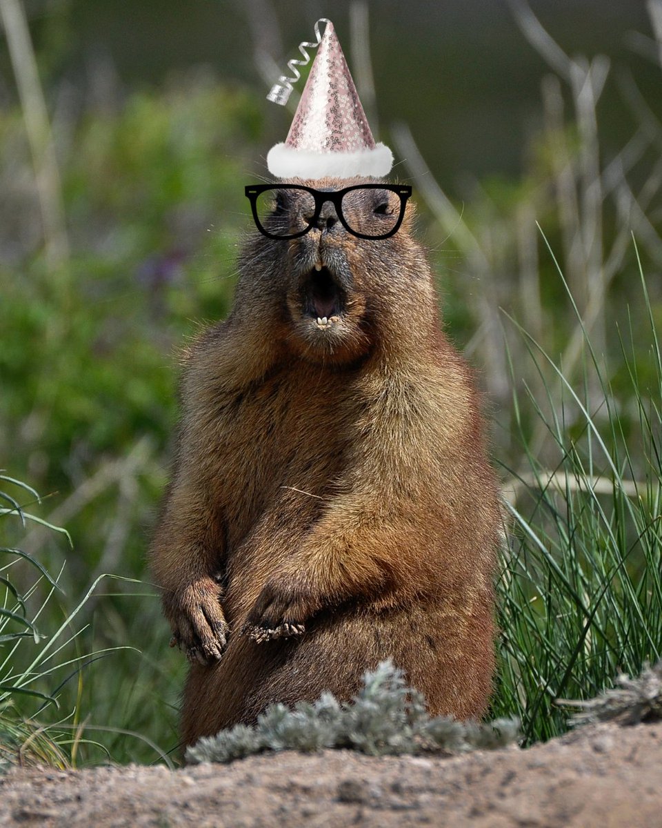 PreparedBC's tweet image. Six more weeks of winter or early spring? No matter what Wiarton Willie predicts, be prepared for anything:

Pack grab-&amp;amp;-go bags: PreparedBC.ca/Grab-and-go⁠

Prepare an emergency kit: PreparedBC.ca/EmergencyKit

Make a home emergency plan: PreparedBC.ca/EmergencyReady

#GroundhogDay