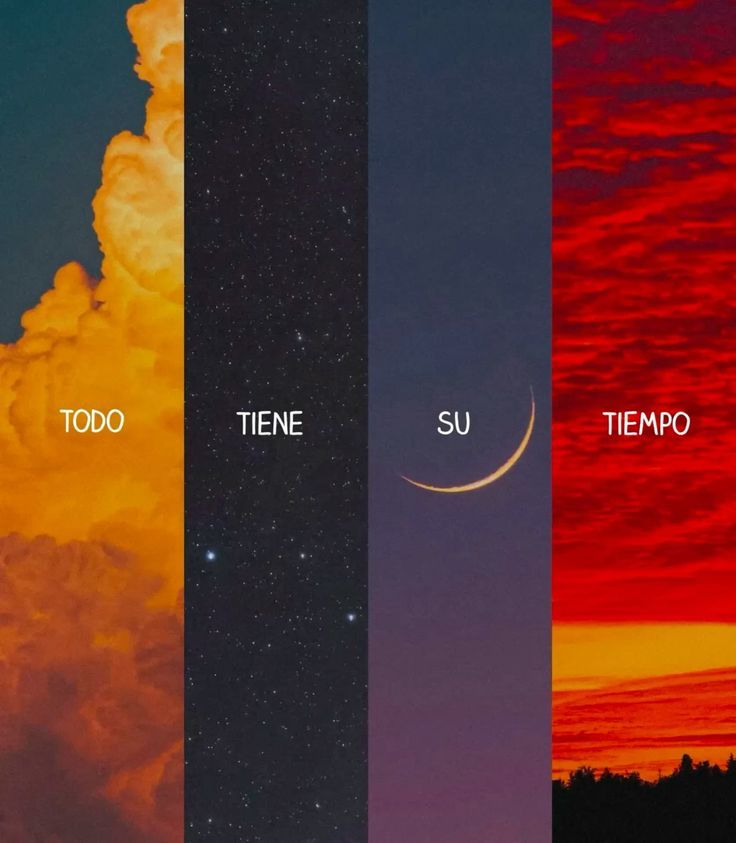 consteladxs's tweet image. 