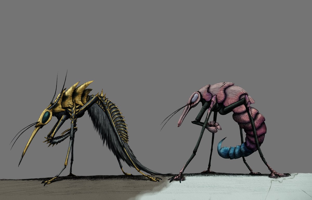 Carter Gatewood tweet media