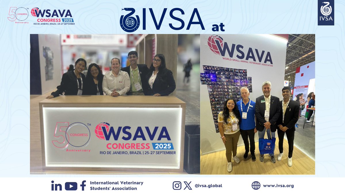 IVSA GLOBAL tweet media