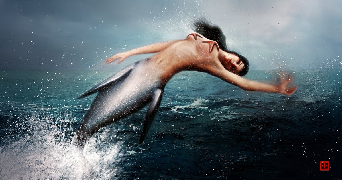 𝕋𝕚𝕒𝕘𝕠 𝔽𝕖𝕣𝕟𝕒𝕟𝕕𝕖𝕤 tweet media