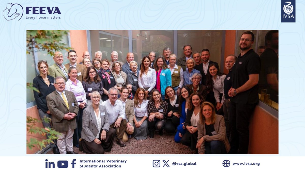 IVSA GLOBAL tweet media