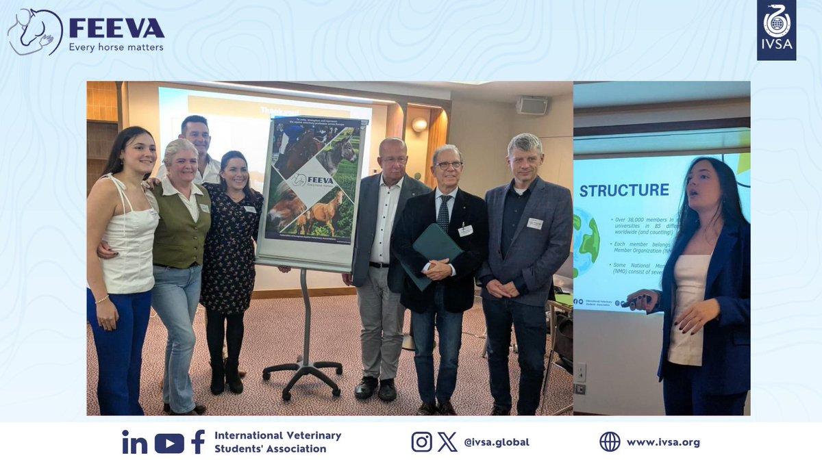 IVSA GLOBAL tweet media