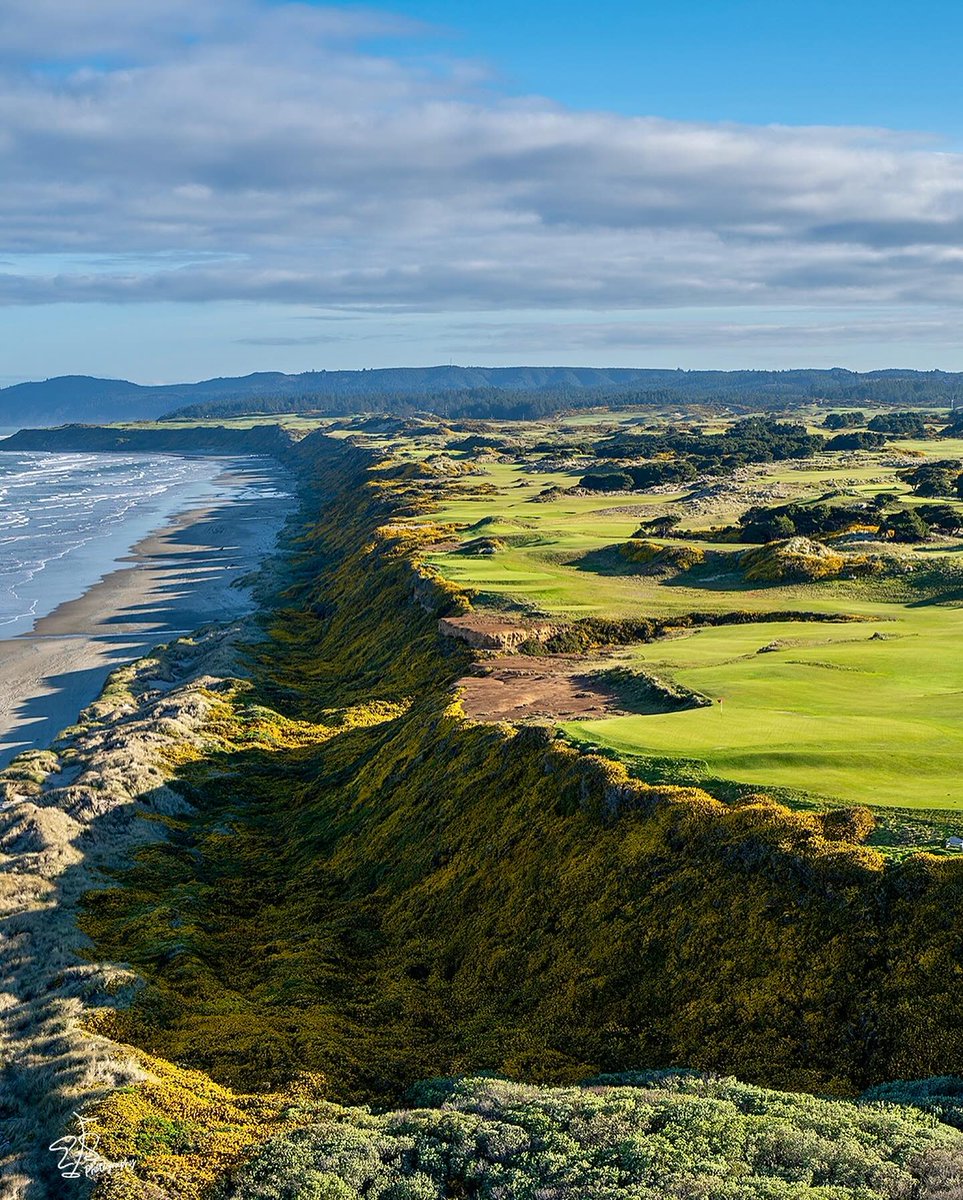 LINKS Magazine tweet media