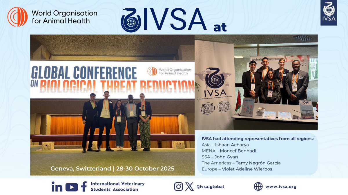 IVSA GLOBAL tweet media
