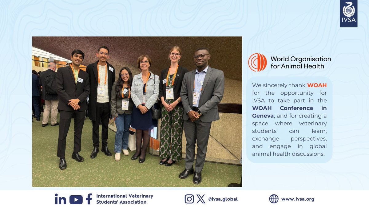 IVSA GLOBAL tweet media