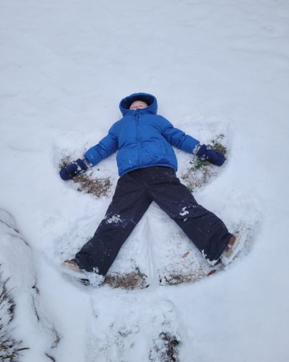 BergerLawSC's tweet photo. Snow days in Columbia don’t come around often, so our team made the most of it! ❄️

Swipe through to see how we spent the weekend making winter memories with friends and family. https://t.co/m9FCysy1ir