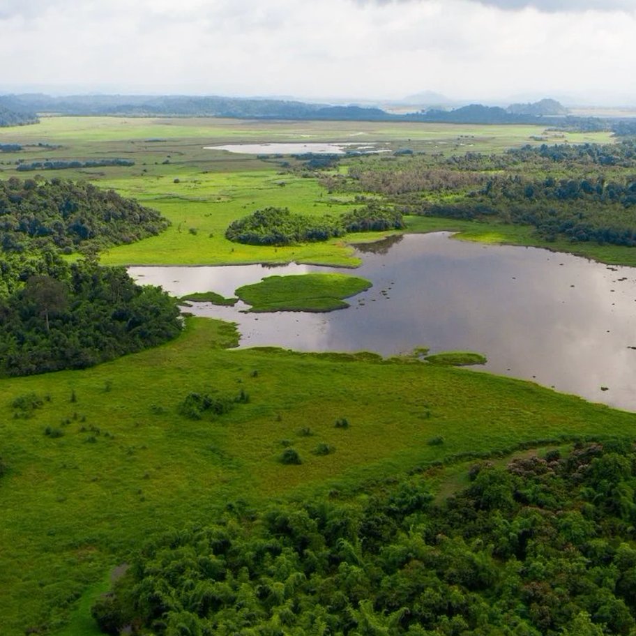 UN Development tweet media