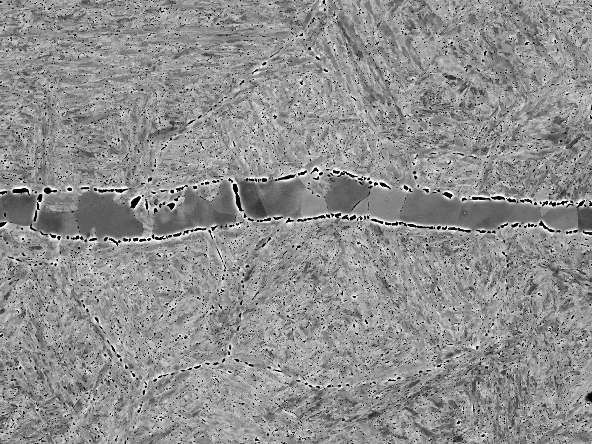 Dr Andre Hatem tweet media