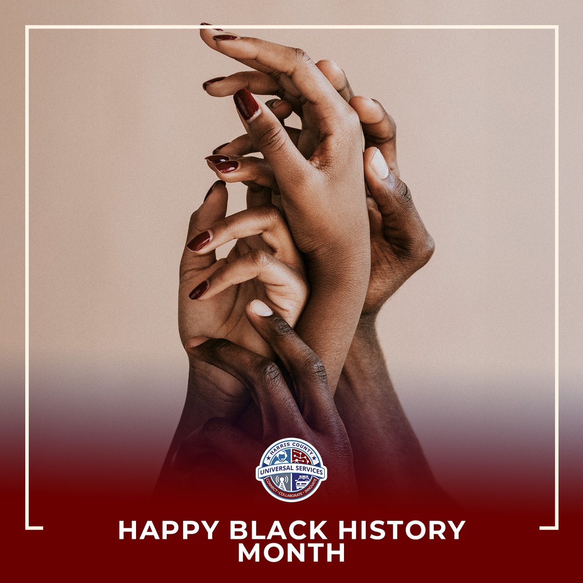 Harris County Universal Services tweet media