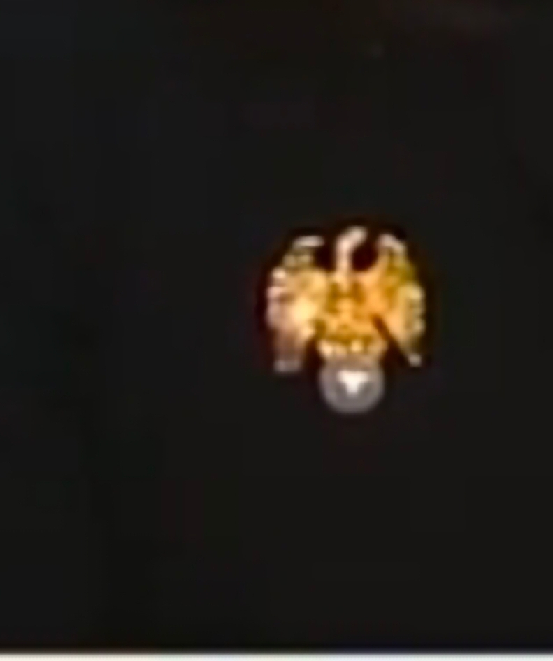 bearx589's tweet photo. Is it really just a coincidence that she’s wearing a pin with an eagle holding a new coin? 

Everything is planned. https://t.co/iLBEq75nB4