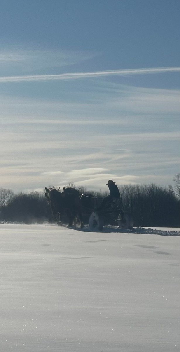 SolitudeFarmz's tweet photo. The Amish of Chenango County harvesting timber at 4 degrees. 

Warm sun, short day. https://t.co/i7uriwJZAf