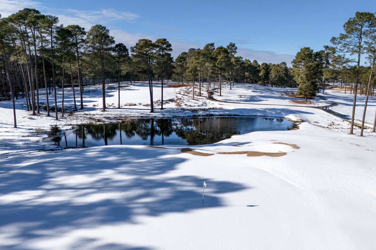 Wayne Freedman tweet media