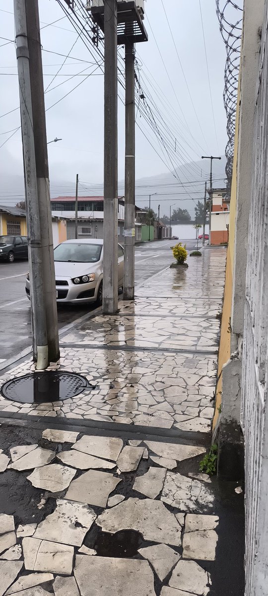 Rodrigo Flores tweet media