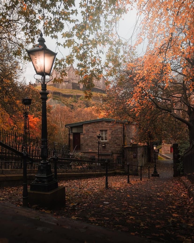 earthcurated's tweet image. Edinburgh, Scotland 🍂