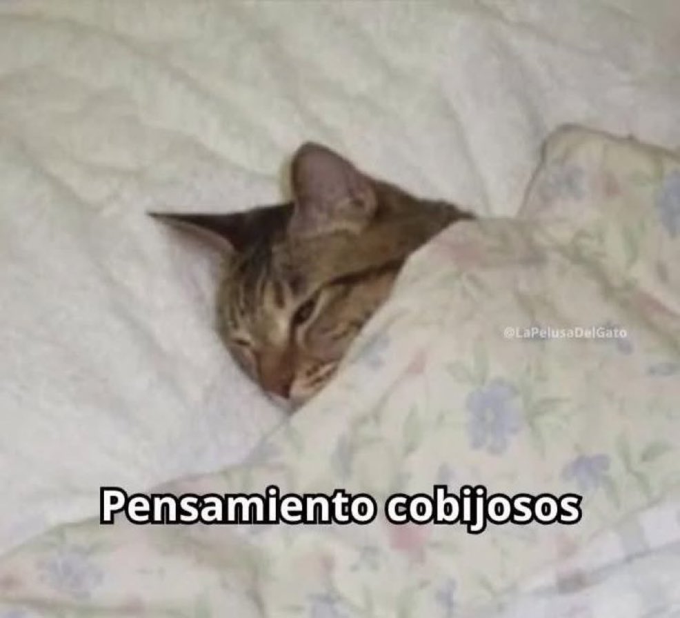 Ya uno no puede quedarse un día a descansar, porque empiezan los