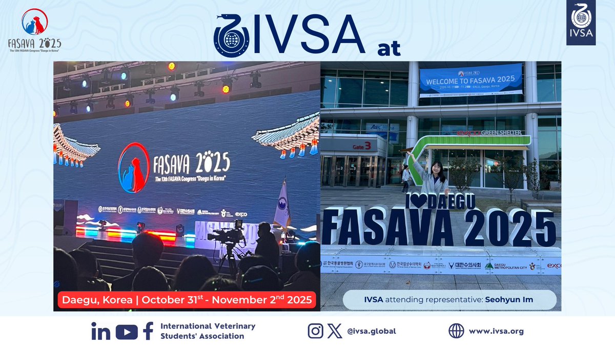 IVSA GLOBAL tweet media