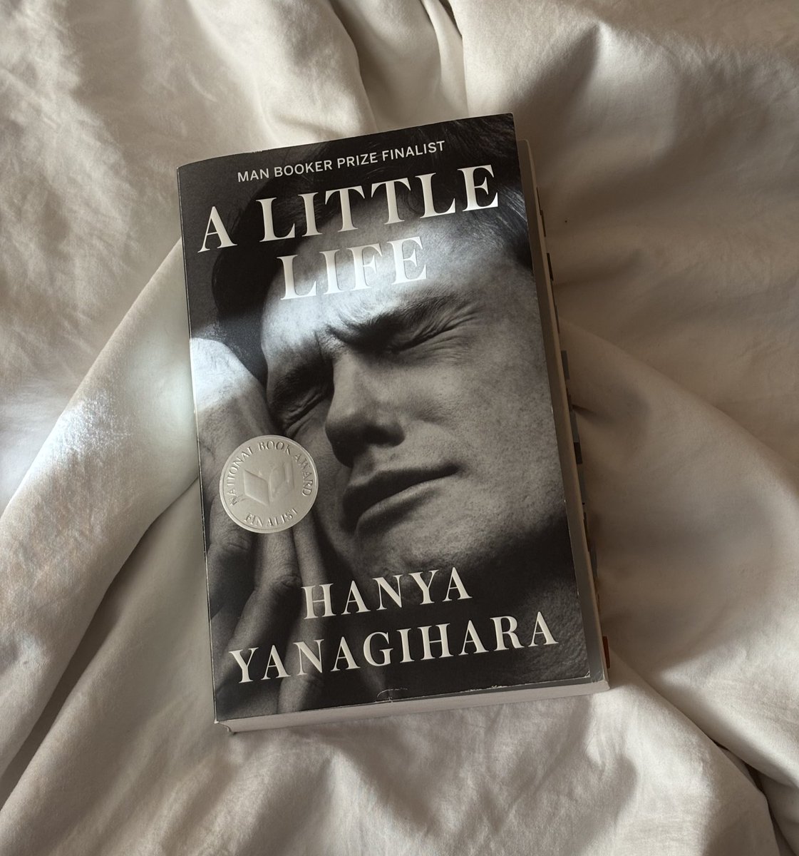 onreadermode's tweet image. Book review: A Little Life 

This book is extremely heavy for some readers. Be prepared for something painful, raw, real deeply emotional, heartbreaking, depressing, and yet undeniable beautiful. Will forever carry Jude with me. 

Rating: ⭐️⭐️⭐️⭐️⭐️5/5 
#booktwt #BookReview