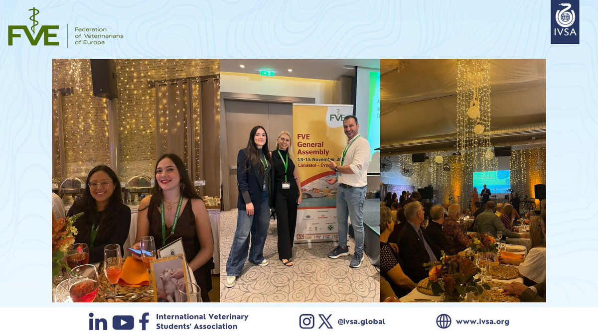 IVSA GLOBAL tweet media