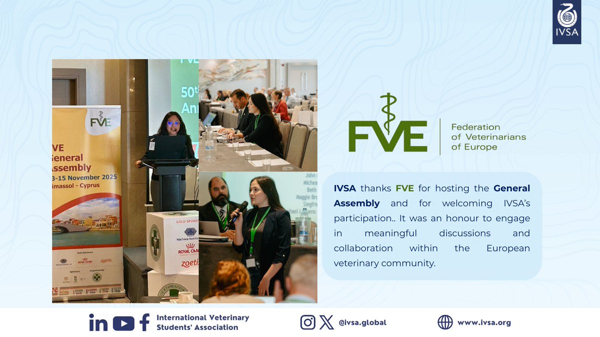 IVSA GLOBAL tweet media